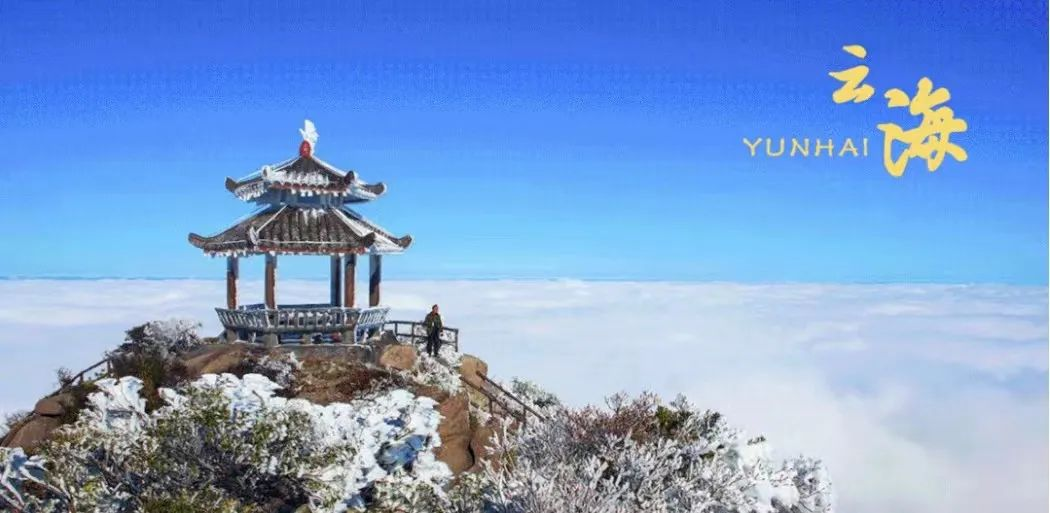 U020260128562101388697.png bet365官网